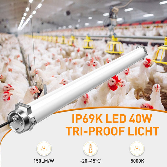 How to Choose LED Tri-proof Lights for Wet, Dusty, and Industrial Areas