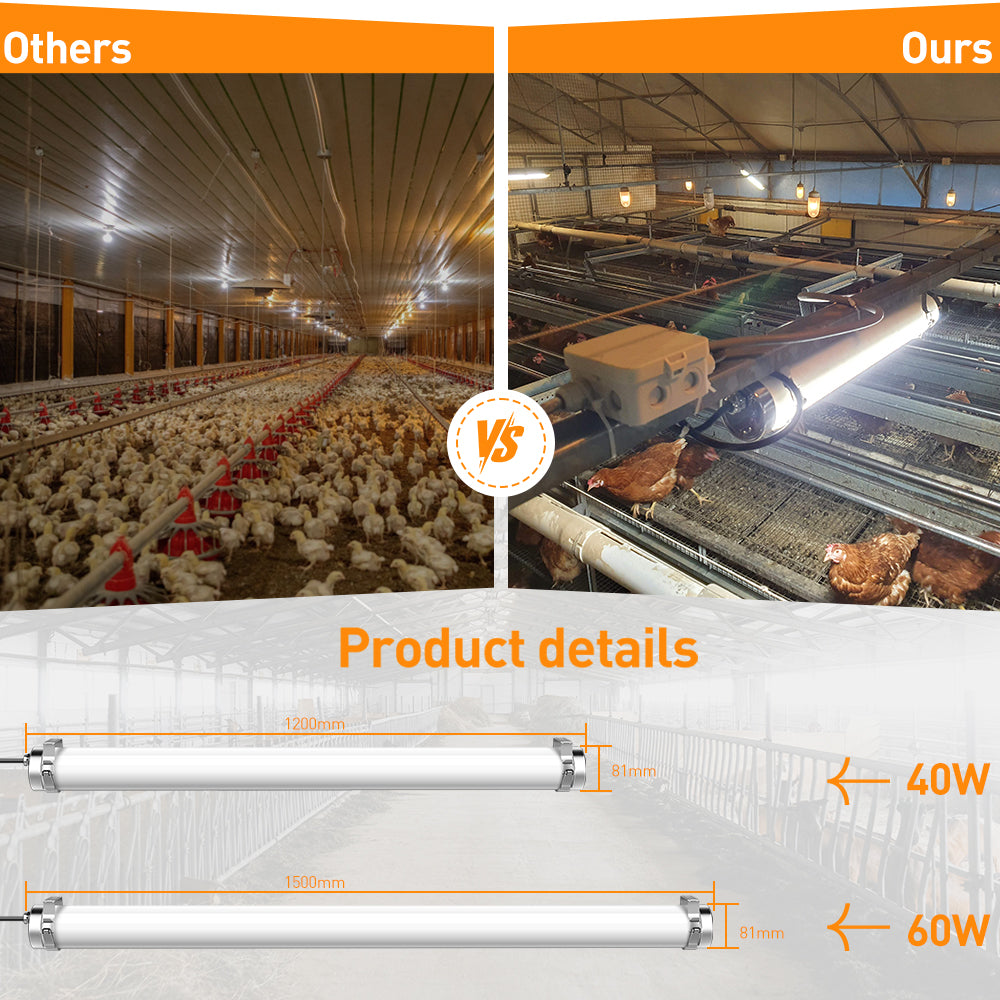 Special Environment Chicken House Triple-Proof Lighting Fixture, 60W
